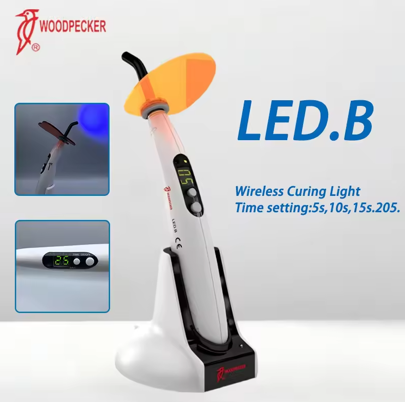 Dental Curing Light Woodpecker - Teeth Whitening Dental 评论和价格