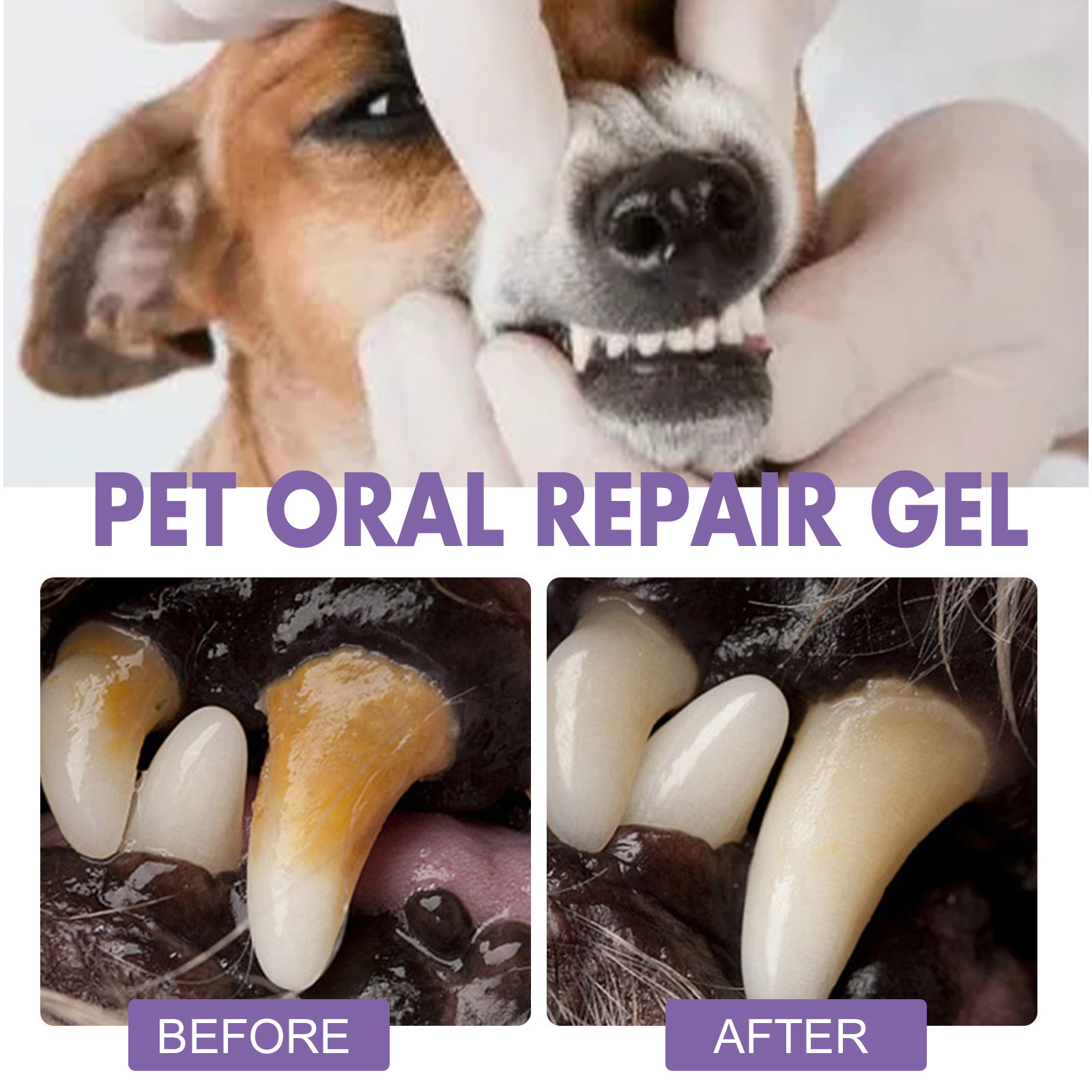 Pet Oral Repair Gel Puppy Tart - Teeth Whitening Gum 评论和价格